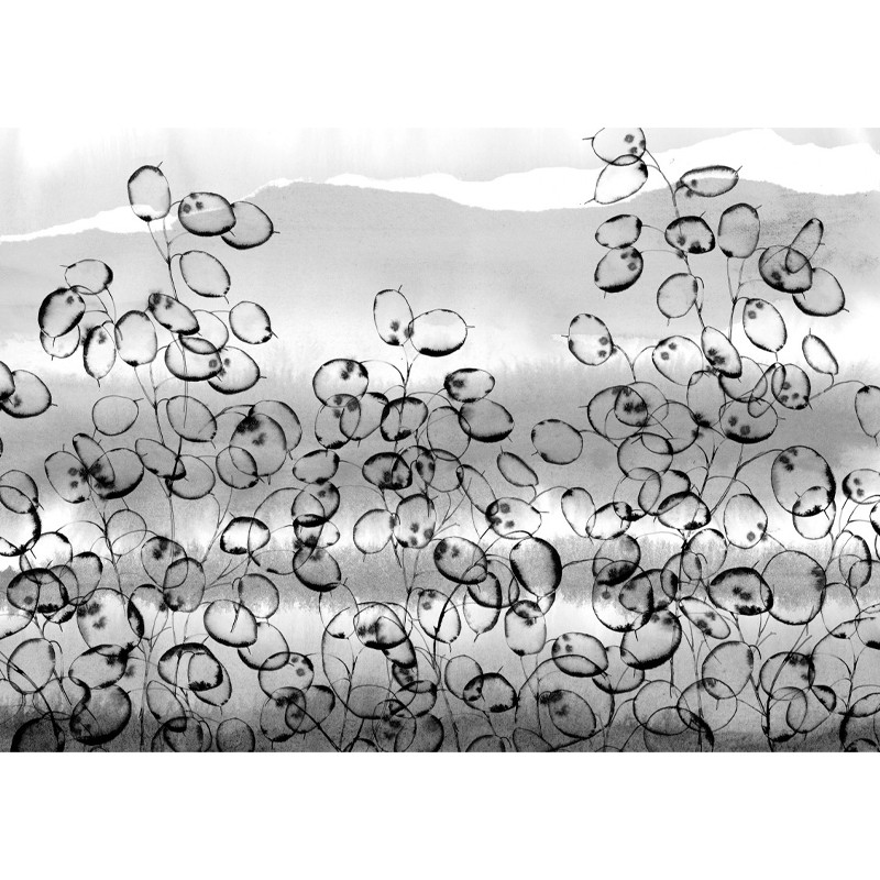 Horizont Texturae