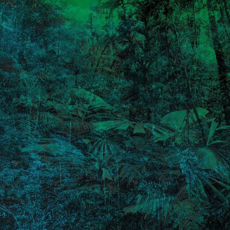 Jungle Texturae