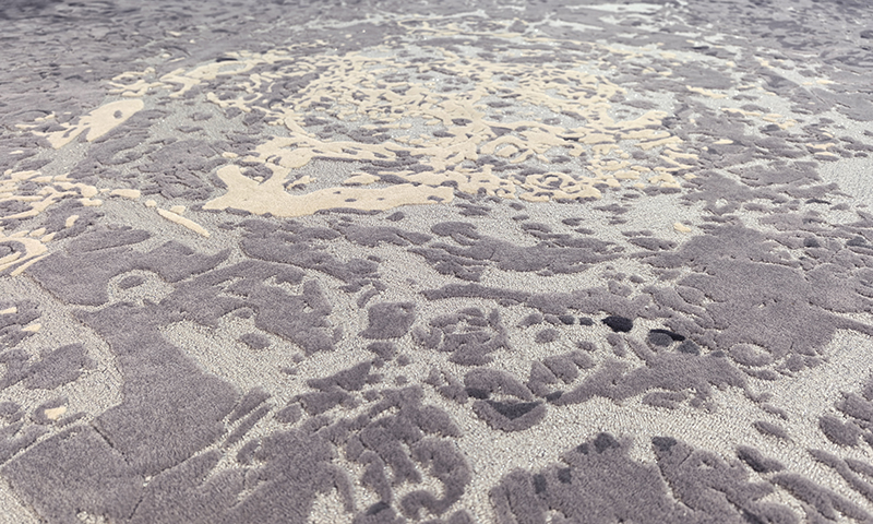 Wool Tufted Area Rug Discovery of Contemporary Nature Collection  - Alexander's Collection 
