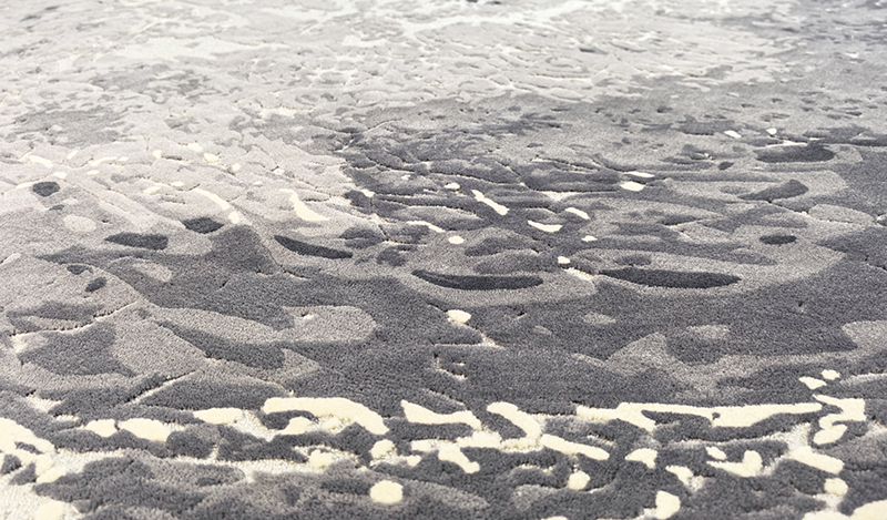 Wool Tufted Area Rug Discovery of Contemporary Nature Collection  - Alexander's Collection 