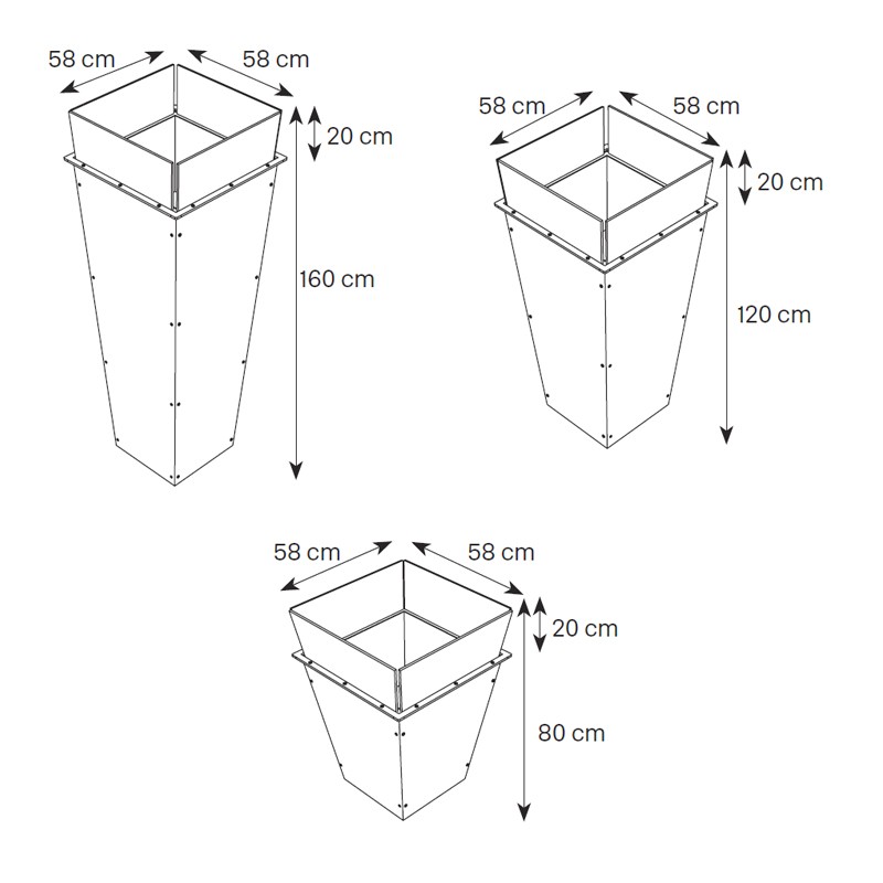 Amon  - Tonelli Design 