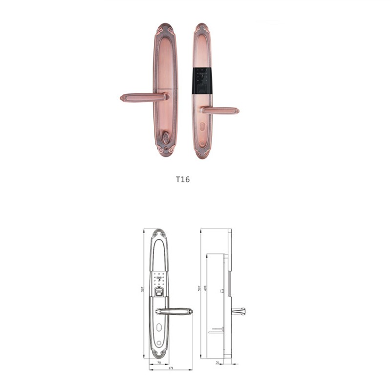 T16  - Hutlon 