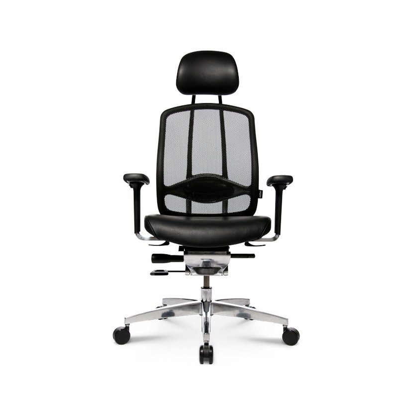 Alumedic 20 Executive Chair Wagner