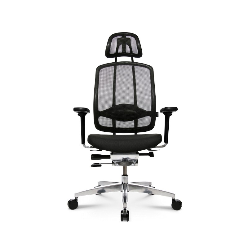 Alumedic 20 Executive Chair  - Wagner 