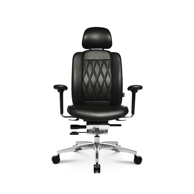 Alumedic 20 Executive Chair  - Wagner 