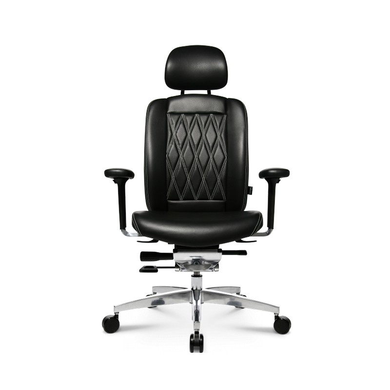 Alumedic 20 Executive Chair  - Wagner 