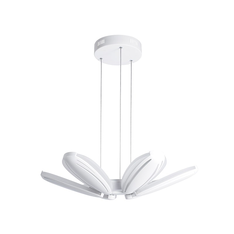 IMGP8905 Oodoo Lighting