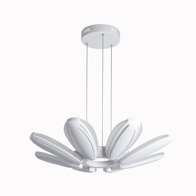 IMGP8974 Oodoo Lighting