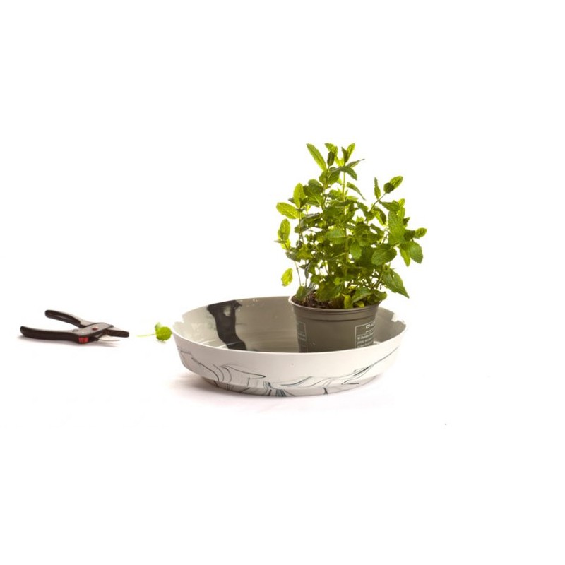 Pigments And Porcelain Bowl Vij5