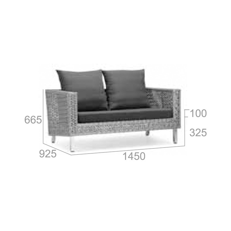 CF50X C9011 2 Seater Sofa  - Mr Dream 