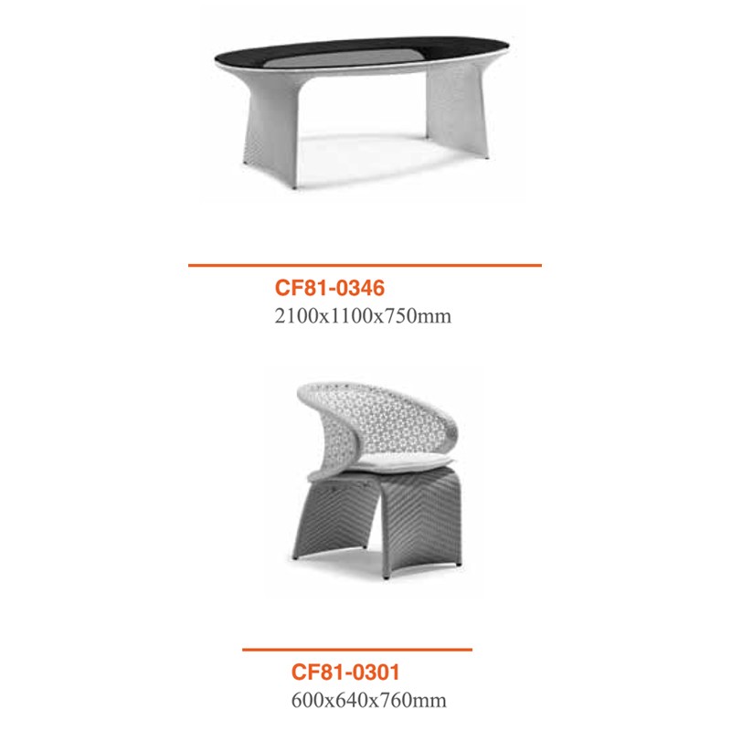 CF81 Dining Set  - Mr Dream 