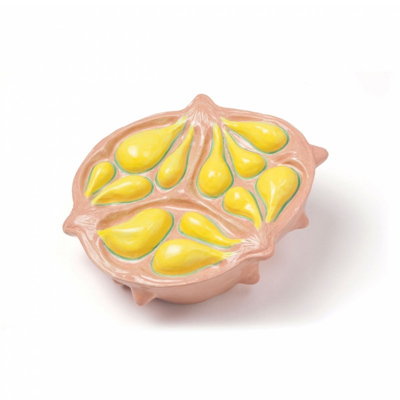 Horned Melon Mambo
