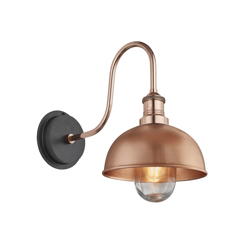 Swan Neck Outdoor & Bathroom Dome Wall Light Industville
