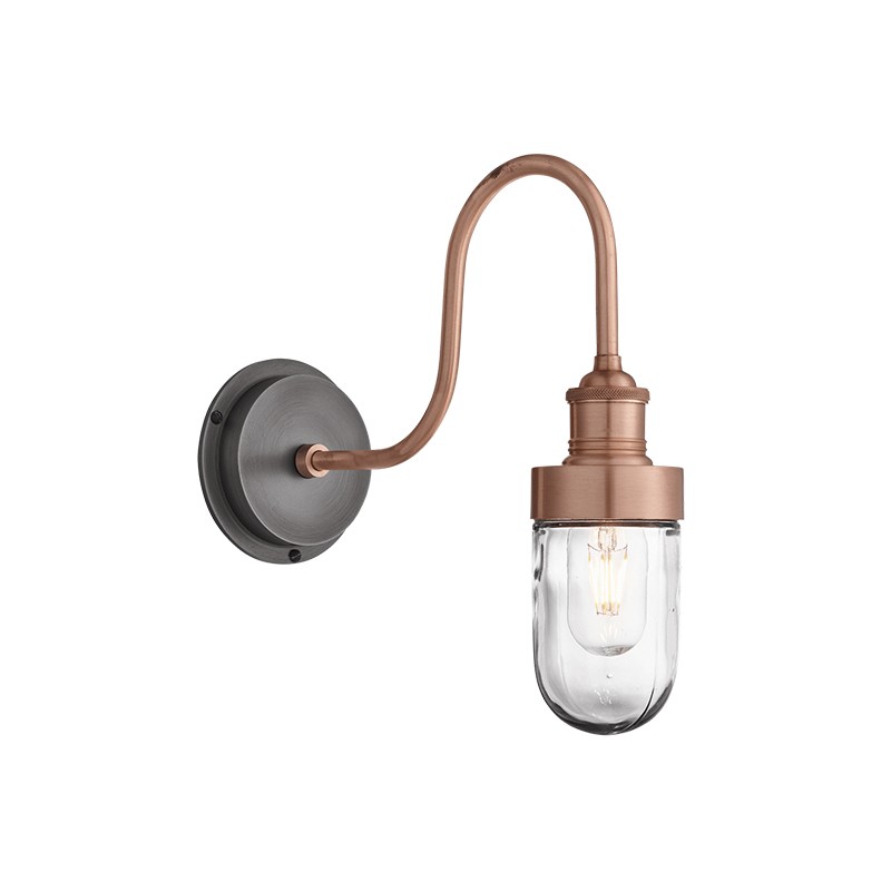 Swan Neck Outdoor & Bathroom Wall Light Industville