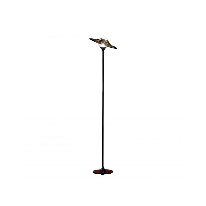 Bullarum Skew Floor Intueri Light