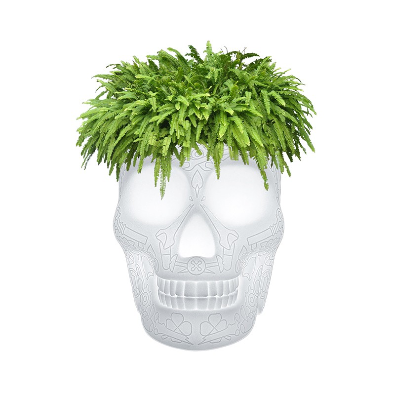 MEXICO PLANTER AND CHAMPAGNE COOLER LAMP Qeeboo