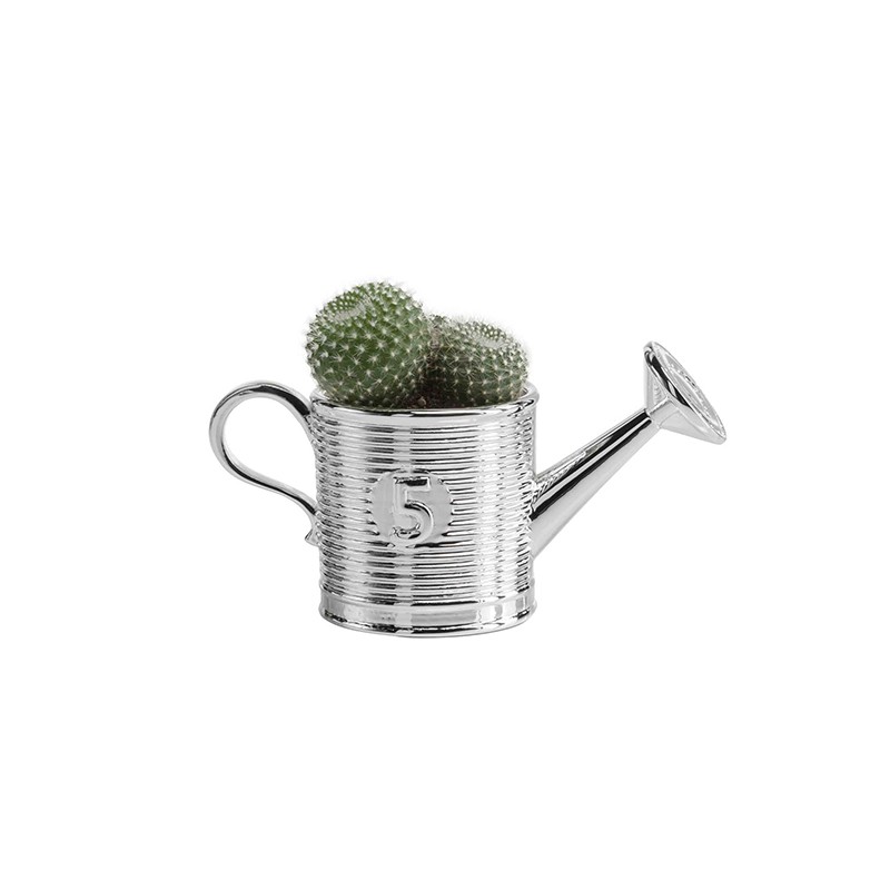 Vase Natura Giardino Watering Can Argenesi