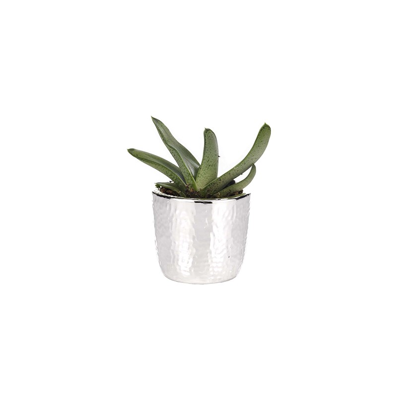 Vase Natura Martellato Round  Argenesi