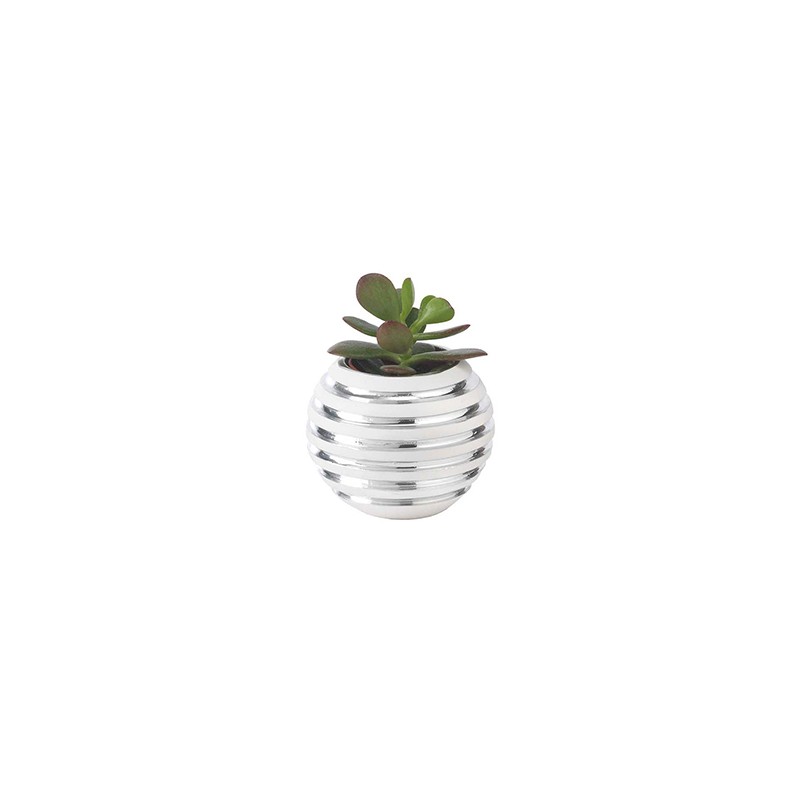 Vase Natura Righe  Argenesi