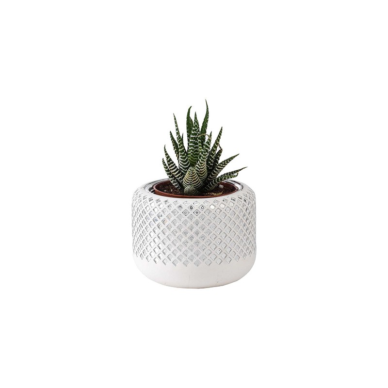 Vase Natura Rombi Argenesi