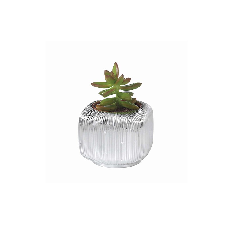 Vase Natura Svasata Argenesi