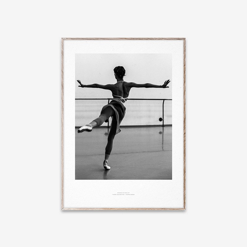 Essence Of Ballet 05 Paper Collective