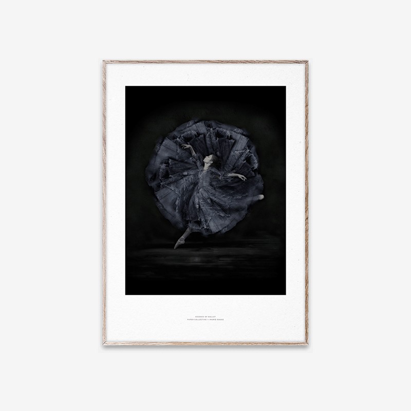 Essence Of Ballet 06 Paper Collective