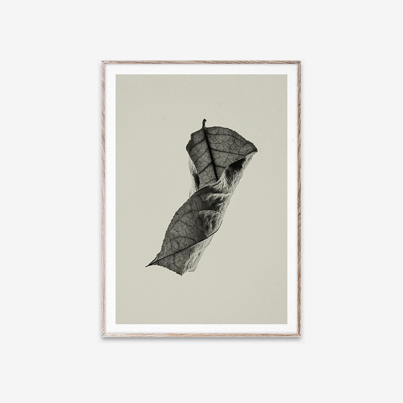 Sabi Leaf 04 Paper Collective