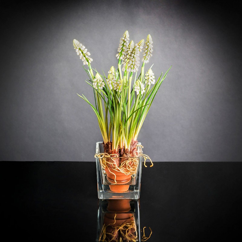 Eternity Cubo Muscari In Cotto VG