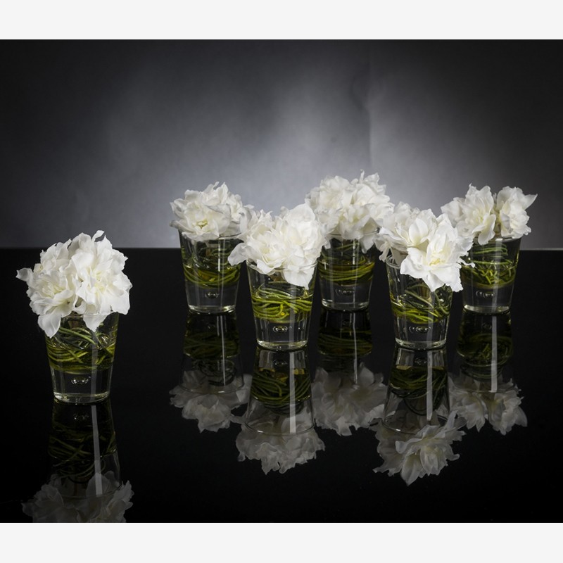 Eternity Mini Delphinium VG