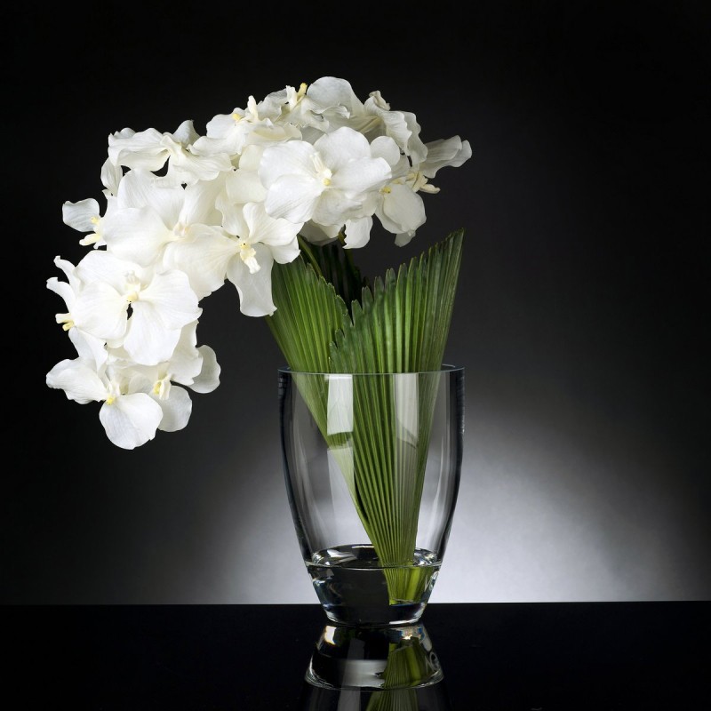 Eternity Orchid Palmitos VG