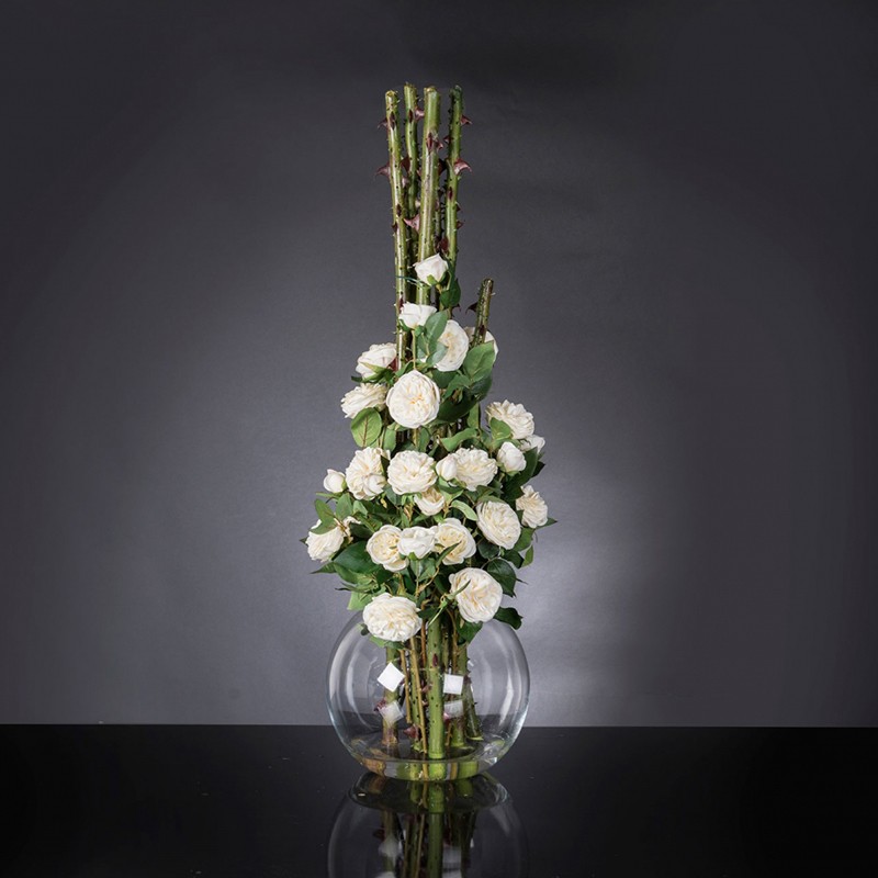 Eternity Penelope Column Roses VG