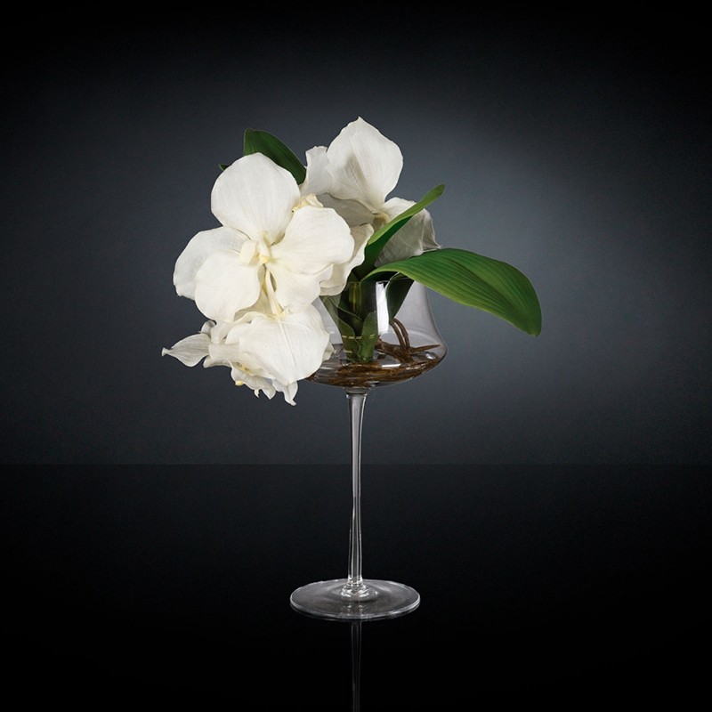 Eternity Stem Glass Minimes Vanda VG