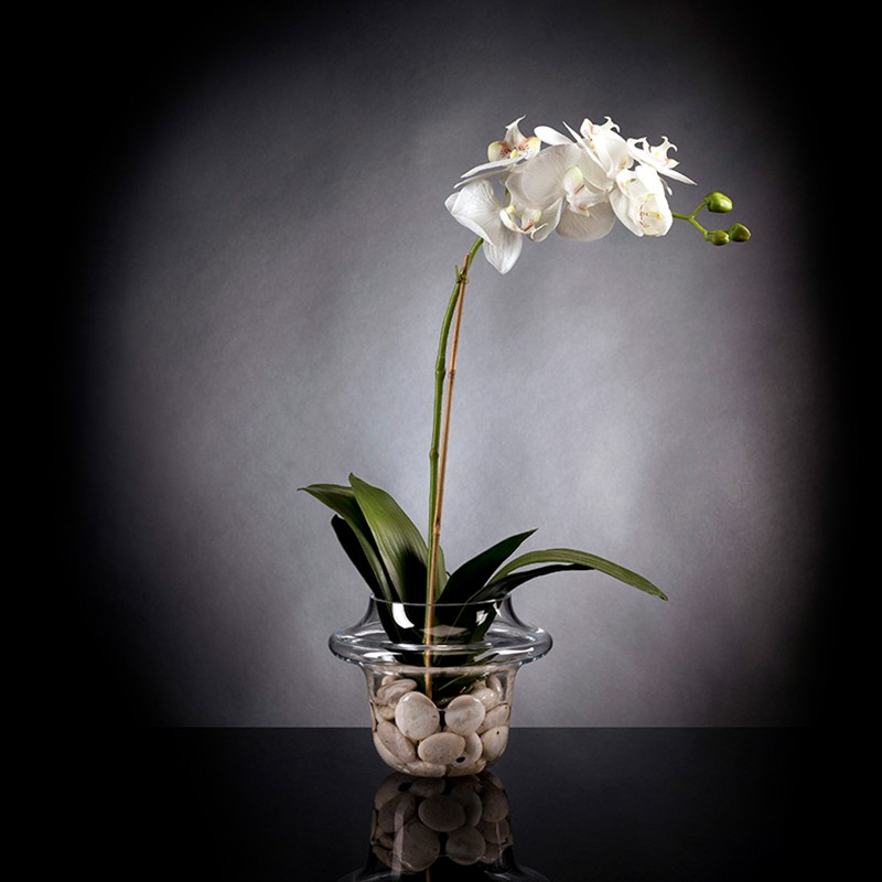 Light Atollo 1 Phalenopsis Small VG