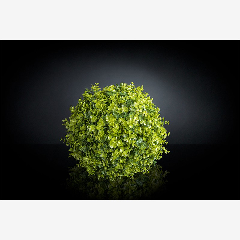 New Eucalyptus VG