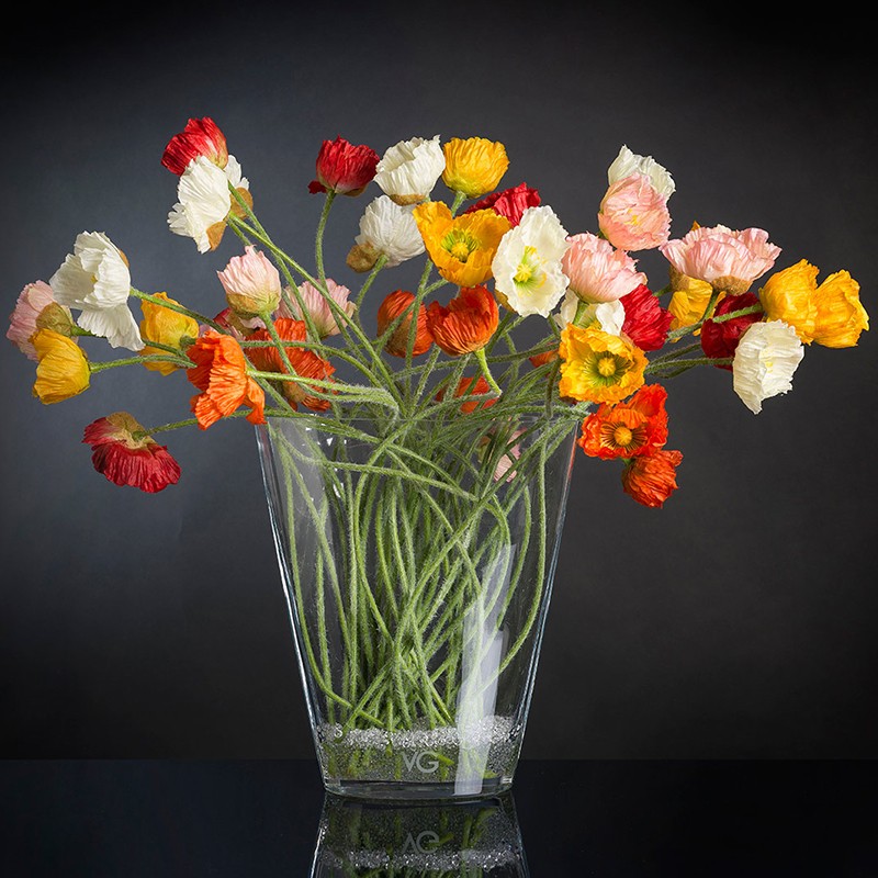 Poppy Trop Set Arrangement VG