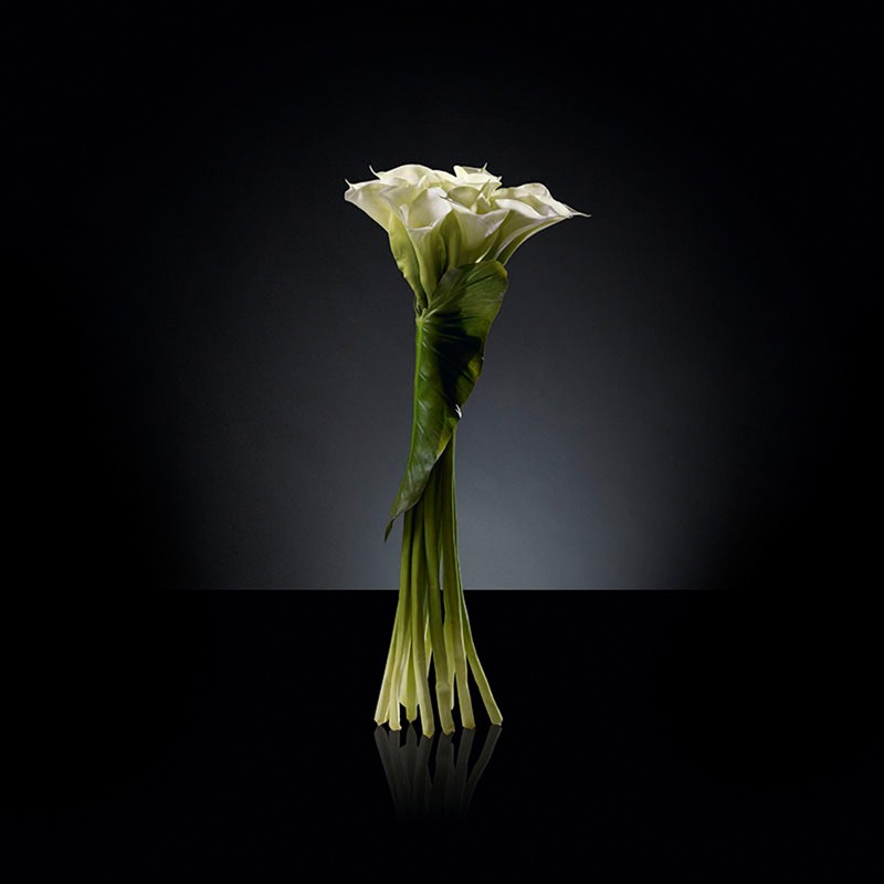 Small Bunch Of Callas VG