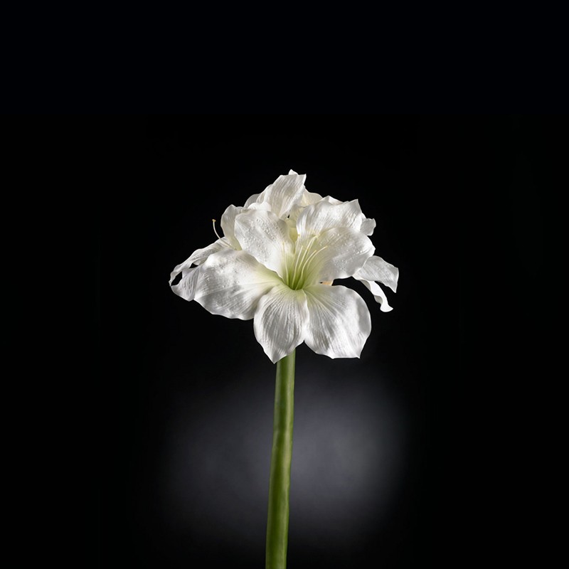 Amaryllis Real Touch VG