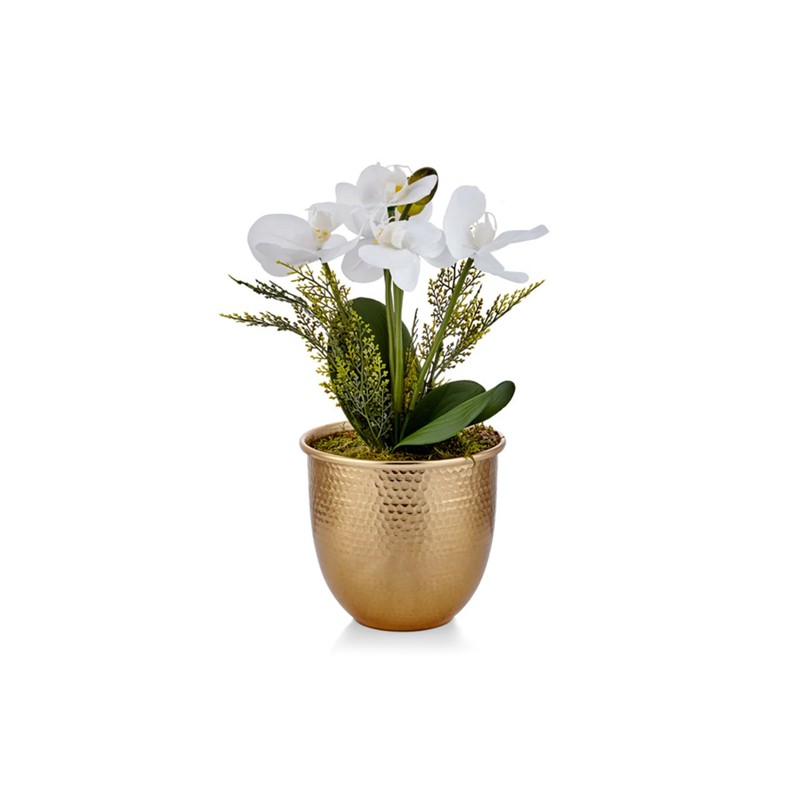 Larina Arrangement Vase Dogtas