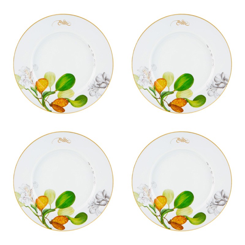 Set of 4 Dinner Plate Amazonia Vista Alegre