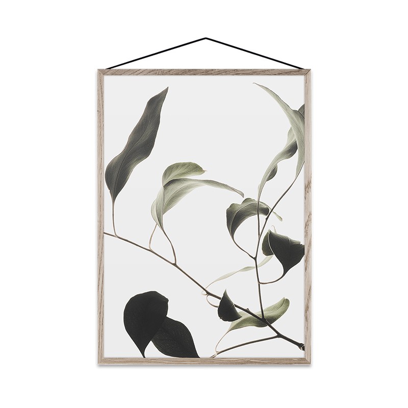Floating Leaves Paper Collective