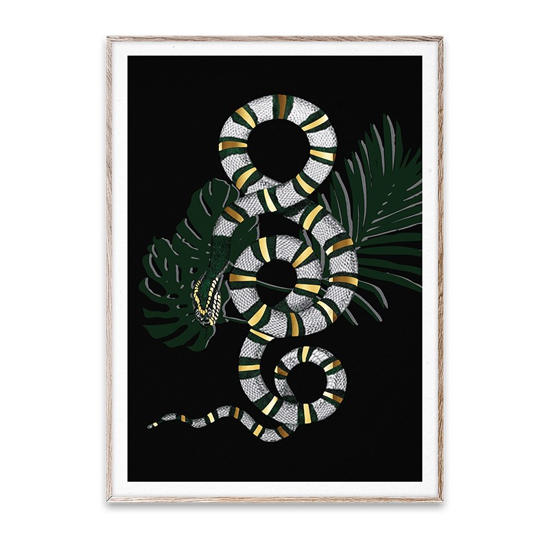 Snake Paper Collective