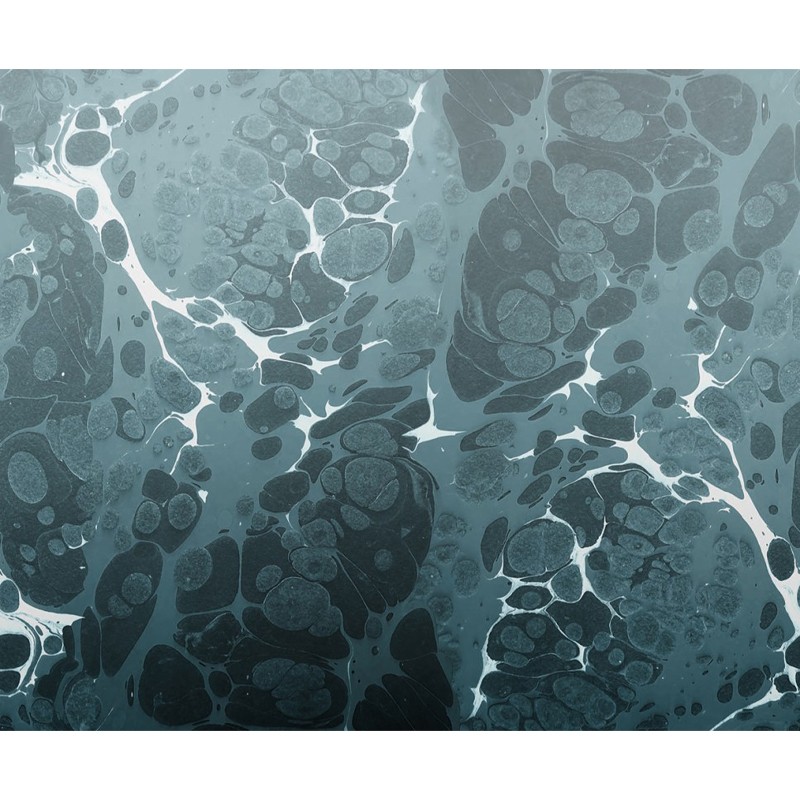 Immerse Texturae