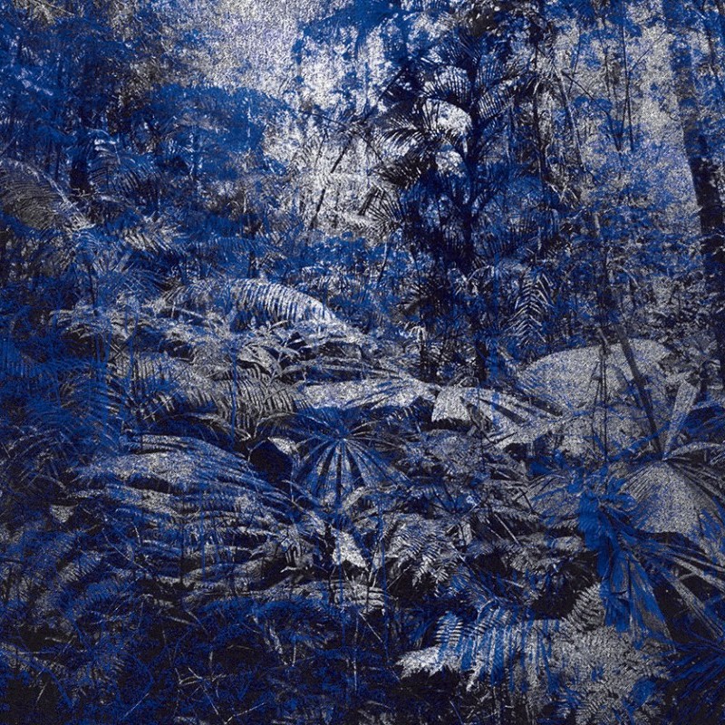 Jungle Texturae