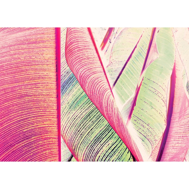 Lucid Botany Texturae