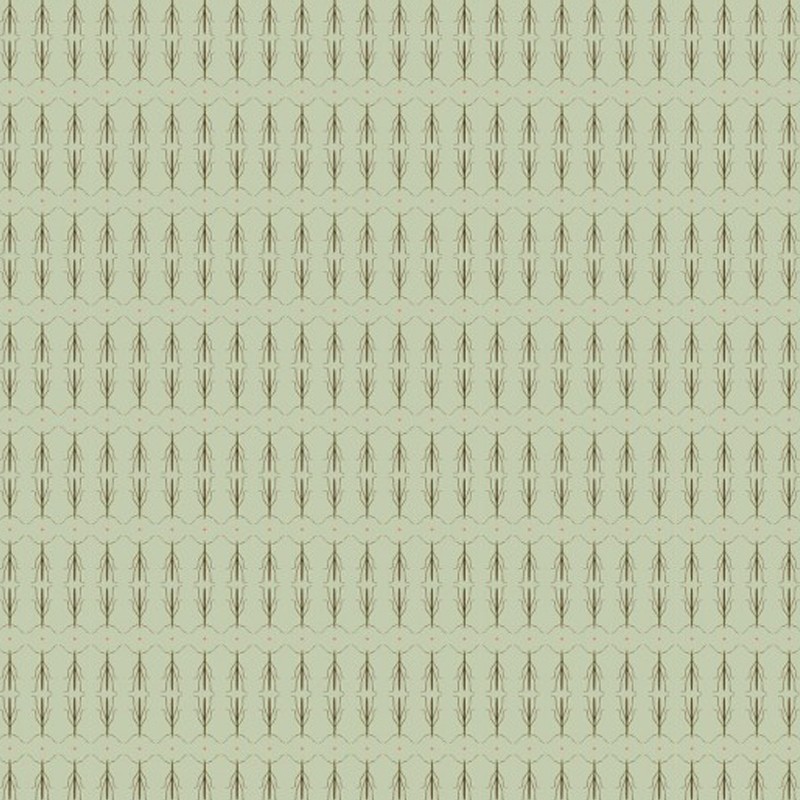 Phasmatidae Texturae