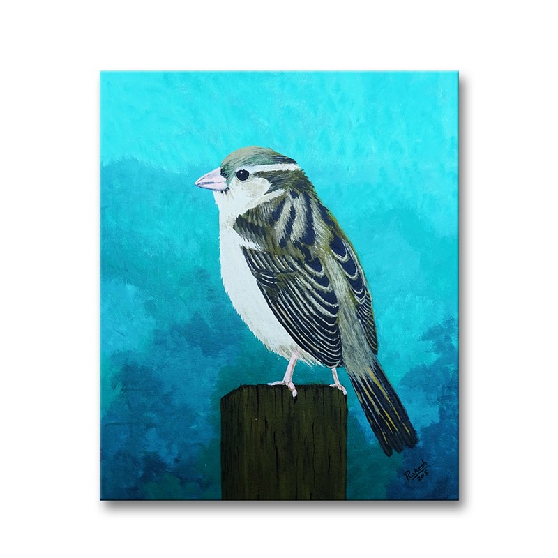 Sparrow Easels & Tripods