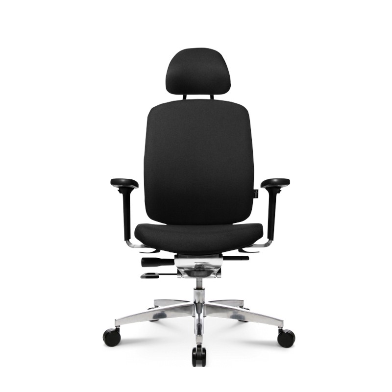 Alumedic 20 Executive Chair Wagner