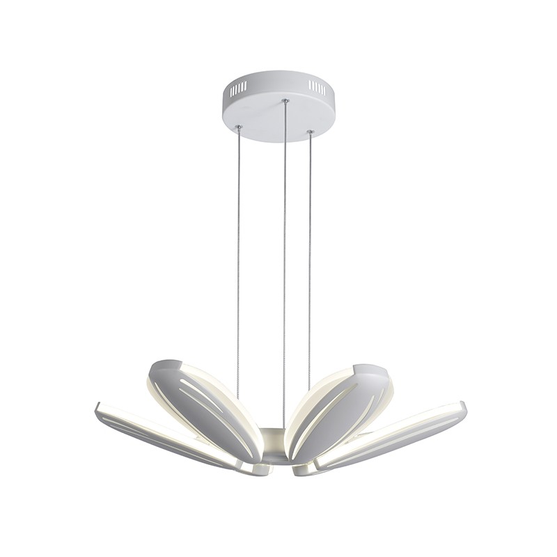 IMGP8905 Oodoo Lighting