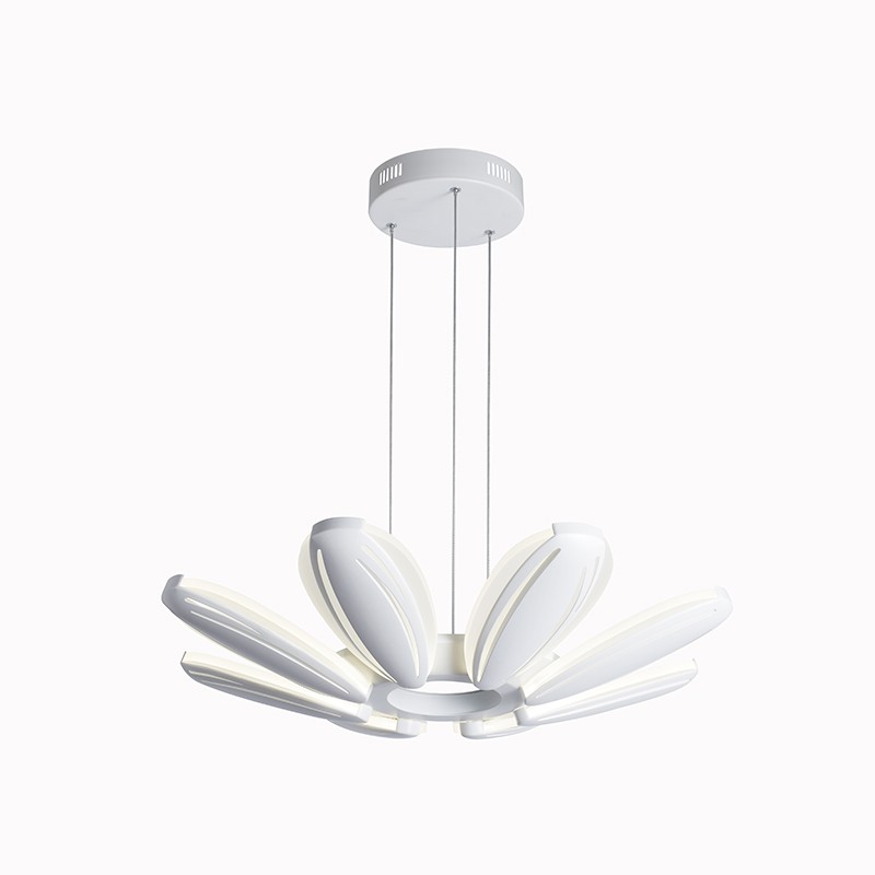 IMGP8974 Oodoo Lighting
